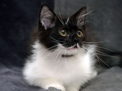 Qualimero am 20.07.2025